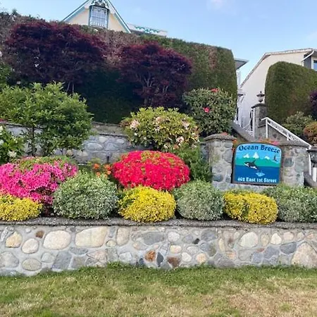 Ocean Breeze Executive Bed And Breakfast-2